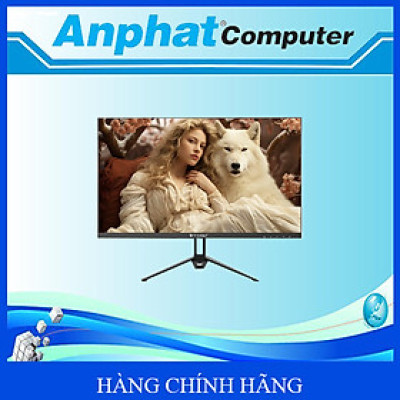 Màn hình LCD T-WOLF TW-F27IFHD165 Gaming (Phẳng 27″/IPS/Full-HD 1920×1080/165Hz/1ms/VGA-HDMI*2) - Hàng Chính Hãng