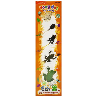 Đồ Chơi Mô Hình Vòng Đời Tự Nhiên - Ếch Lớn Lên Như Thế Nào? - Firstar DK81256
