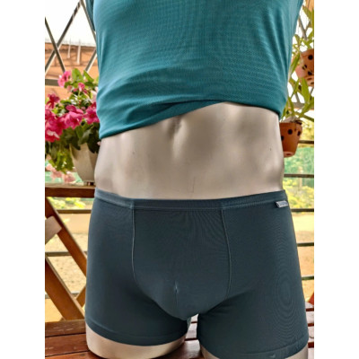 Quần Lót Nam Thương Hiệu Davie DVBX030 Lưng Bản Nhỏ 1.5 Co Giãn 4 Chiều, Thoải Mái Và Thấm Hút Mồ Hôi