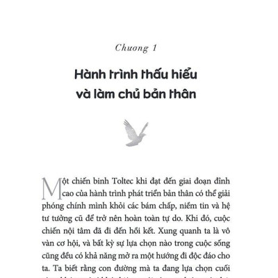 The Mastery Of Self - Hành Trình Thấu Hiểu Bản Thân Và Tìm Thấy Tự Do - Don Miguel Ruiz Jr