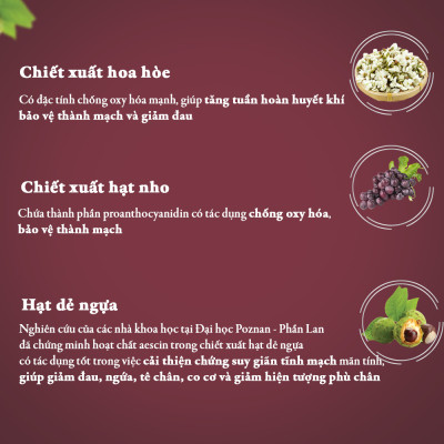 Viên Uống Hỗ Trợ Điều Trị Bệnh Suy Giãn Tĩnh Mạch Vascovein (Hộp 30 viên), Chiết Xuất Từ Hạt Dẻ Ngựa - Nguyên Liệu Nhập Khẩu Châu Âu