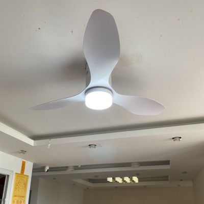 quạt trần trang 3 cánh - sang trọng cho chung cư, phòng khách, khách sạn, quán cafe, sapa - quạt có điều khiển từ xa 6