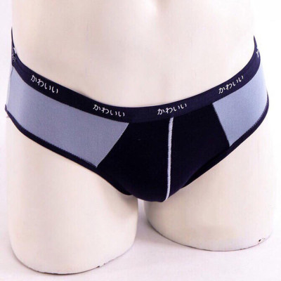 Combo 5 chiếc sịp nam cotton mịn