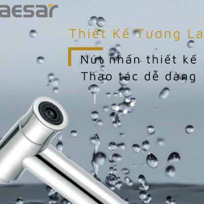 VÒI XỊT INOX 304 - BS310CW CAESAR