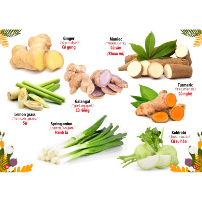 Từ Điển - Thư Viện Hình Ảnh Song Ngữ Đầu Tiên Của Bé - Loài chim - khủng Long - Chữ cái Và Số - Hoa Rau củ Quả ( bộ 4 cuốn )