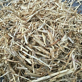 cây rễ cỏ tranh phơi khô 1kg