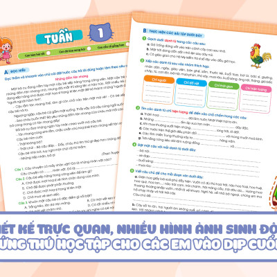 Combo Phiếu Bài Tập Cuối Tuần Toán + Tiếng Việt Lớp 4 (35 Tuần Học) (Bộ 2 Cuốn) - MEGA