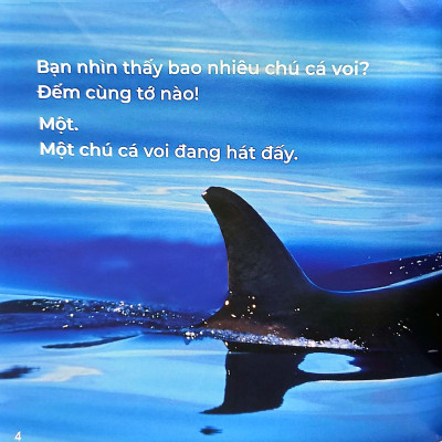 Gõ Cửa Thiên Nhiên Bài Ca Biển Cả: Học Đếm_The Song From The Sea