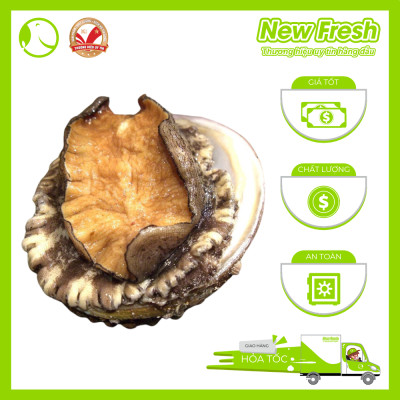 Bào Ngư Hàn Quốc Đông Lạnh - Túi 1Kg (16-20 con)