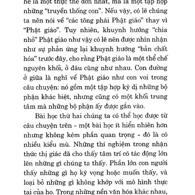 Dẫn Luận Về Phật Giáo (Tái Bản)