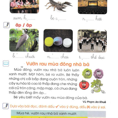 Bộ Đề Kiểm Tra, Đánh Giá Năng Lực Tiếng Việt 1/2
