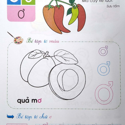 Bé Chuẩn Bị Vào Lớp 1 - Giúp Bé Nhận Biết Và Làm Quen Với Chữ Cái (Dành Cho Trẻ 3-4 Tuổi)