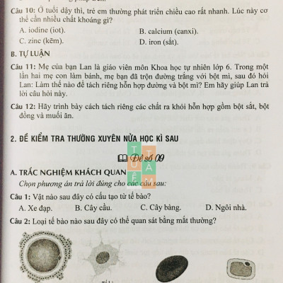 Sách - Đề kiểm tra Khoa học tự nhiên 6 (Kết nối tri thức với cuộc sống)