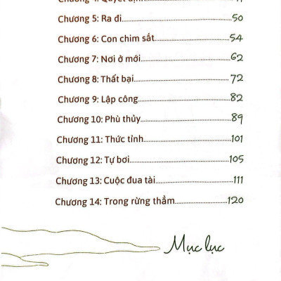Tôtô - Chú Chó Với Ước Mơ Bay