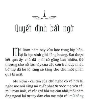 Mũ Rơm ở đồng quê
