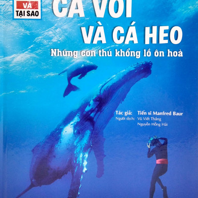 Combo sách Trọn bộ thế nào và tại sao (19 cuốn Bìa cứng) - minhhabooks