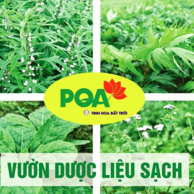 Cốm Mệnh Môn Thủy PQA Giúp Bồi Bổ Thận Âm, Nhuận Sắc Và Tăng Cường Sức Khỏe Hộp 12 Gói