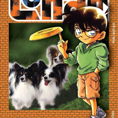 Combo Manga - Thám Tử Lừng Danh Conan: Tập 21 - 30 (Bộ 10 Tập)
