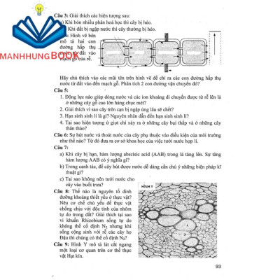 sách - Bồi dưỡng học sinh giỏi sinh 11 (dùng chung cho các bộ sgk hiện hành)