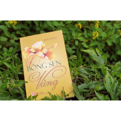 Combo 2 cuốn Bông Sen Vàng + Búp Sen Xanh - Sơn Tùng