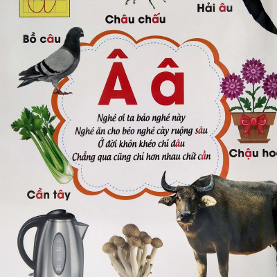 Từ Điển Bằng Tranh - Bảng Chữ Cái Tiếng Việt