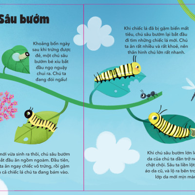 Sách - Vòng Đời Của Động Vật - ndbooks