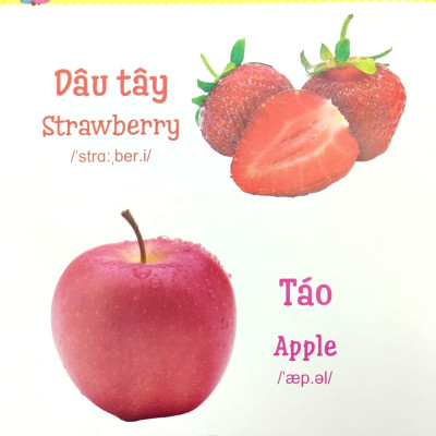 Từ Điển Bằng Tranh Dành Cho Trẻ Em - Trái Cây