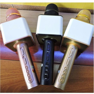 Micro Karaoke Bluetooth kèm loa kết nối điện thoại, máy tính bảng Hát Không Dây, Nghe Nhạc, Hỗ Trợ Kết Nối Thẻ Nhớ, USB Pin sạc MÀU ĐEN - Hàng Chính Hãng