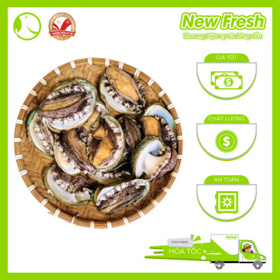 Bào Ngư Hàn Quốc Đông Lạnh - Túi 1Kg (16-20 con)