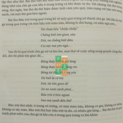 Sách - Những bài làm văn mẫu lớp 4 (Kết nối tri thức với cuộc sống)
