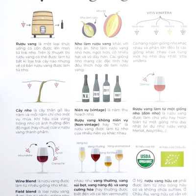 Wine Folly Toàn Tập - Phiên Bản Magnum (Bìa Cứng) (PNU)