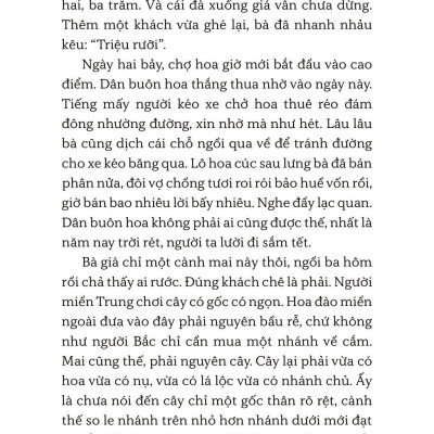 Bán Một Cành Mai Ăn Tết