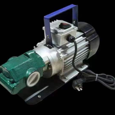 Máy Bơm Dầu diesel 200lit/phút bơm bánh răng WCB-200L điện 220V công suất 1500W - Hàng nhập khẩu