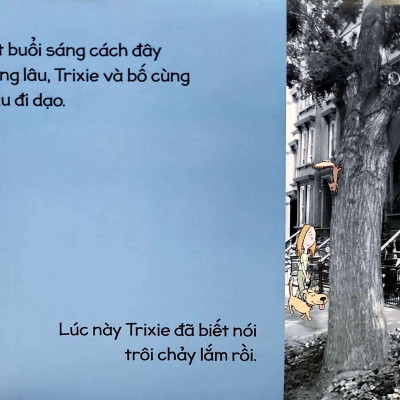 Một Thỏ Bé Bồng Bông Khác