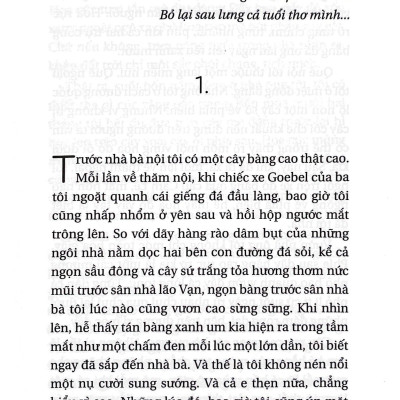 Đi Qua Hoa Cúc (Tái Bản 2022)