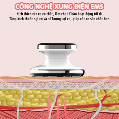 Máy Massage Bụng Cầm Tay Nikio NK-160 - Công Nghệ Sóng RF, EMS Giúp Săn Chắc Body