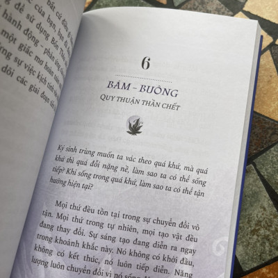 THỰC HÀNH BỐN THOẢ ƯỚC – Làm chủ giấc mơ cuộc đời - Nguyễn Phi Vân  dịch - Saigonbooks – NXB Dân Trí