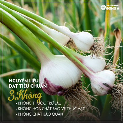 Tỏi đen cô đơn bóc vỏ - Combo 3 hộp 450g - Tỏi Kim Cương Đông Á - Hỗ trợ tăng cường đề kháng, ổn định huyết áp, bảo vệ tim mạch