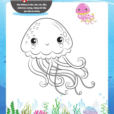 My Big Ocean - Con Tập Tô Cảm Xúc Đại Dương