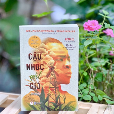 - Cậu Nhóc Gặt Gió -