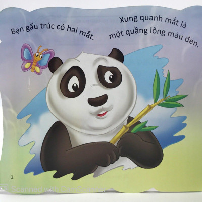 Cùng Bé Yêu Khám Phá Rừng Xanh - Chúng Mình Đã Biết Gì Về Loài Gấu Trúc