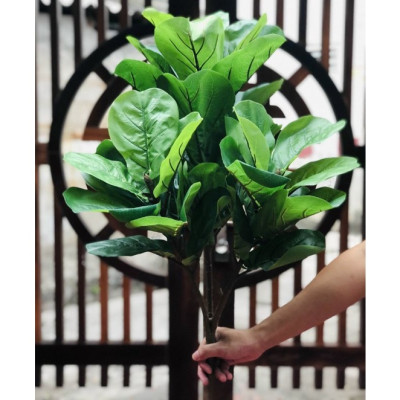 Cây bàng Singapore giả - Size từ 40 cm đến 100cm - Cây giả, hoa lụa Decor trang trí nhà cửa Decor phòng