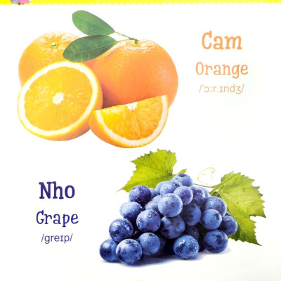 Từ Điển Bằng Tranh Dành Cho Trẻ Em - Trái Cây