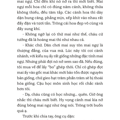 Bán Một Cành Mai Ăn Tết