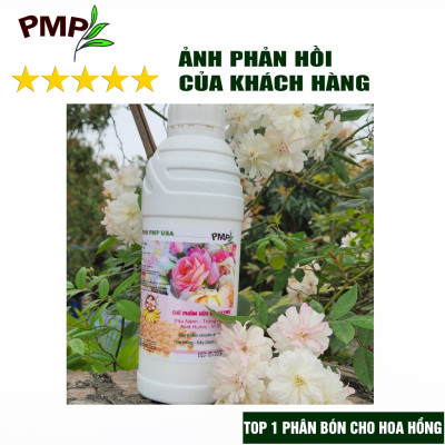 Phân Bón Hoa Hồng Combo Phân Đậu Nành Soymic - Dịch Chuối Humic ( 2 Chai x 1 L)