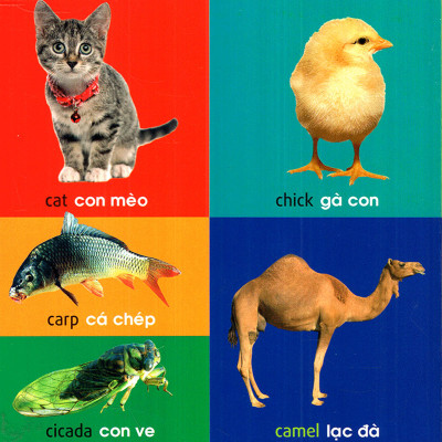 	101 First Words – Animals (101 Từ Đầu Tiên – Động Vật) _ML