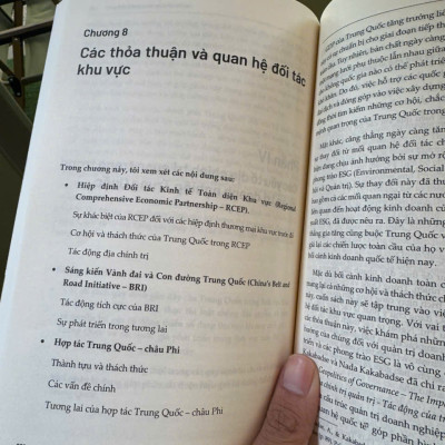 TRUNG QUỐC QUẢN TRỊ DOANH NGHIỆP NHƯ THẾ NÀO - Chiến lược sinh tồn và phát triển cho các doanh nghiệp nước ngoài tại Trung Quốc - Lindsey Zhang - Lam Hoàng dịch - Lyceum