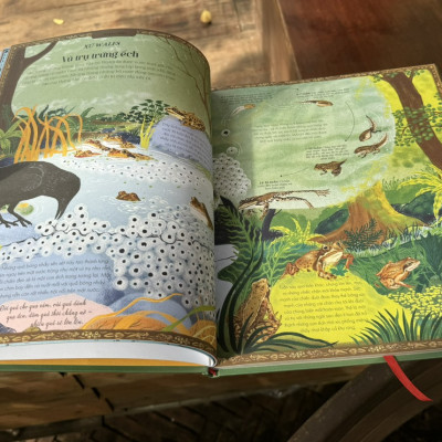 [Sách tranh, bìa cứng, in màu toàn bộ, khổ lớn] VÒNG QUANH THẾ GIỚI CÙNG MẸ THIÊN NHIÊN - Lucy Brownridge - Margaux Samson Abadie minh họa - Hà Anh dịch - Vizibook - NXB Phụ nữ Việt Nam