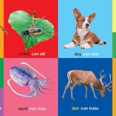 101 First Words - Animals (101 Từ Đầu Tiên - Động Vật)