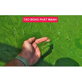 Đèn UV 150W AQUA SUV+ Diệt Khuẩn, Rêu Tảo Hồ Cá Koi , Xử Lý Nước Thải, Nước Sinh Hoạt Trong 7 Ngày